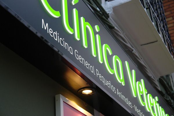 Letras corpóreas luminosas
